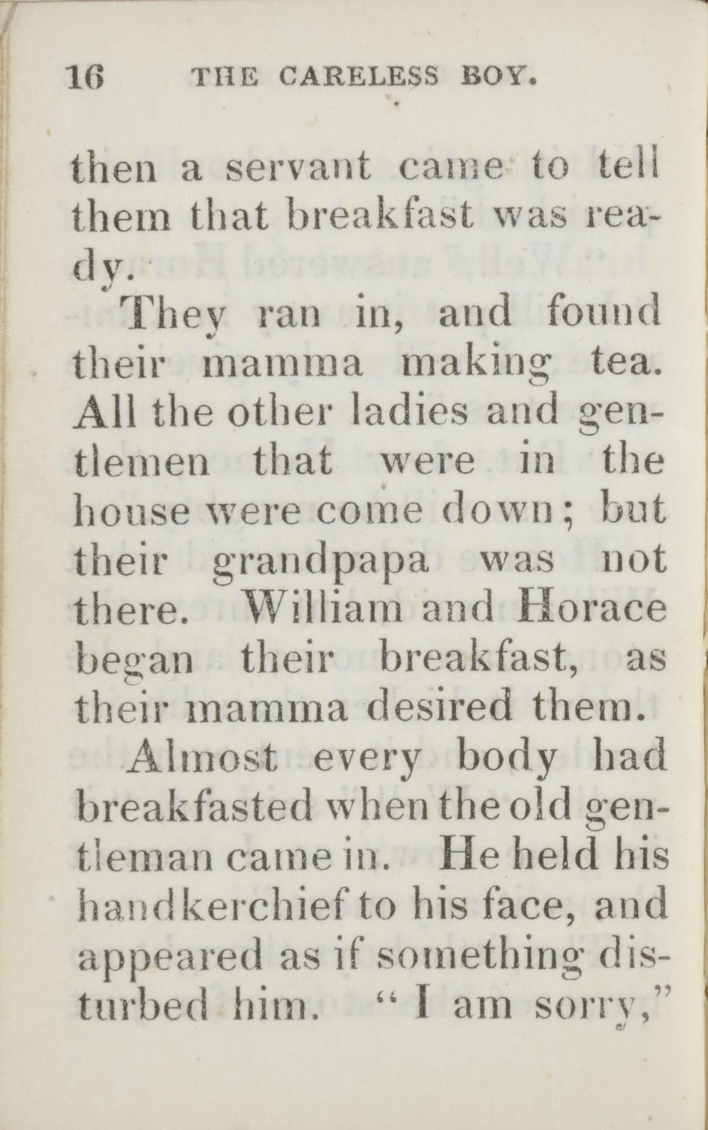 16 THE CARELESS BOY. then a servant came to tell them that breakfast was ready. They ran in, and found their mamma making tea.