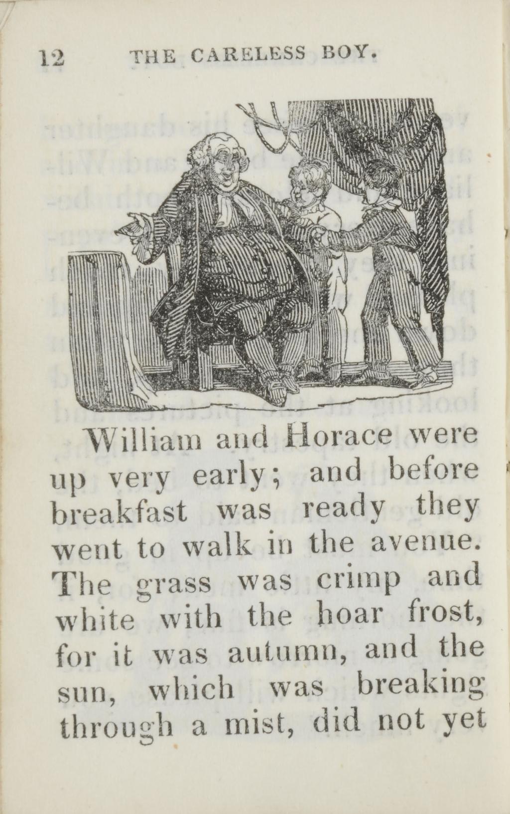 12 THE CARELESS BOY. William and Horace were up very early; and before breakfast was ready they went to walk in the avenue.