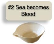 Bowl #2: Sea Becomes Blood Revelation 16:3 The second angel poured out his bowl into the sea, and it became blood like that of a dead man; and every living thing in the sea died.
