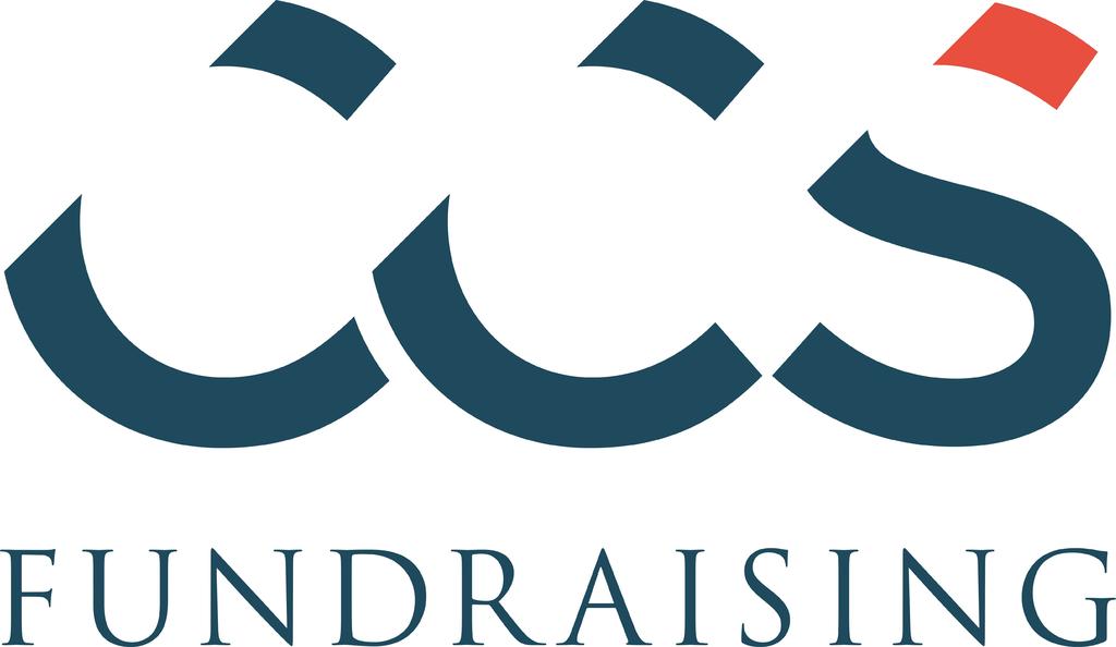 This month s contributions come from the following ICSC Strategic Partners: wisdom from ICSC strategic partners Each month ICSC sends you practical