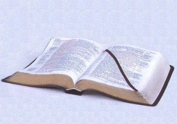 Biblical Hermeneutics Genre Principles: Literary Interpretation