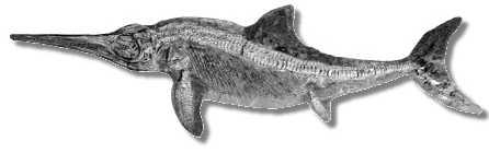 Ichthyosaur http://www.