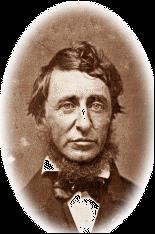 B. Transcendentalism as a Romantic Expression The Role of Henry David Thoreau a. American writer of the 19 th century. b.