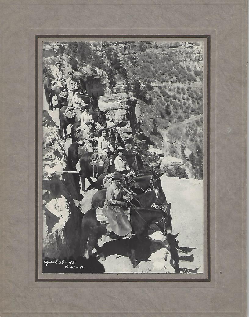 Cowgirls on Bright Angel by Kolb 14- Kolb Brothers. [Mule train in the Grand Canyon]. Grand Canyon, AZ: Kolb Brothers, April 28, 1945. Black and white photograph [18 cm x 12.