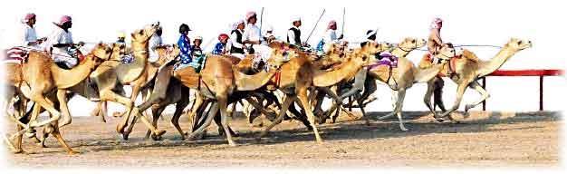 Sports Soccer, camel racing,
