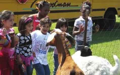 Activities provided for children are: Fishing and Hayride Face Painting Horse-Back