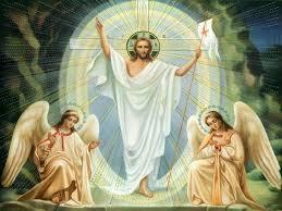 CHRIST, KING OF THE UNIVERSE MASS SCHEDULE Parish Mission Statement We, All Saints Parish, are unified together by the power of the Holy Spirit to be a living and convincing sign of God s