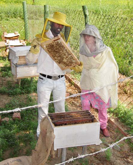 Right: Ramesh explaining organic honey production to my wife Marcie at the Amrit Sagar apiary.