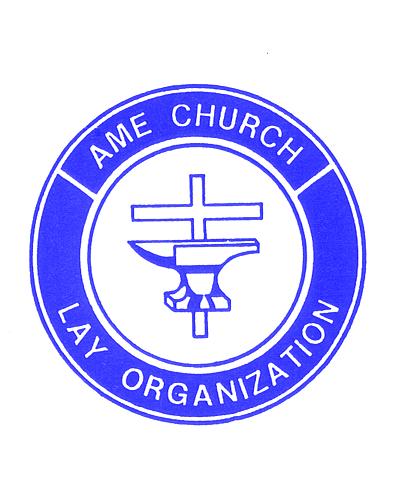 LAY ORGANIZATION PURPOSE Our primary purpose is to organize and train the laity of the church, so that each member may use to the maximum, the abilities