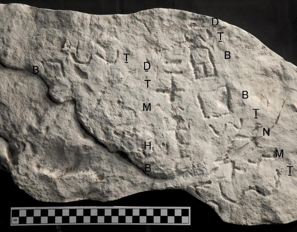 Sinai 361 This is the site of (where stood) the snake of bronze that Mashe Mahub-Baalt made (Z ŠḤ ʔBŠN Z-NḤ[ŠT] ZT BŠN MŠ MHBʕLT) (Krahmalkov 2017b: 10) Figure 12: A plaster cast of Sinai 361 with