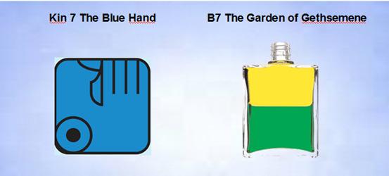 Kin 7: The Blue Hand: Know, Healing, Accomplishment Archetype: The Avatar The Accomplisher of Knowledge, the Exempler.
