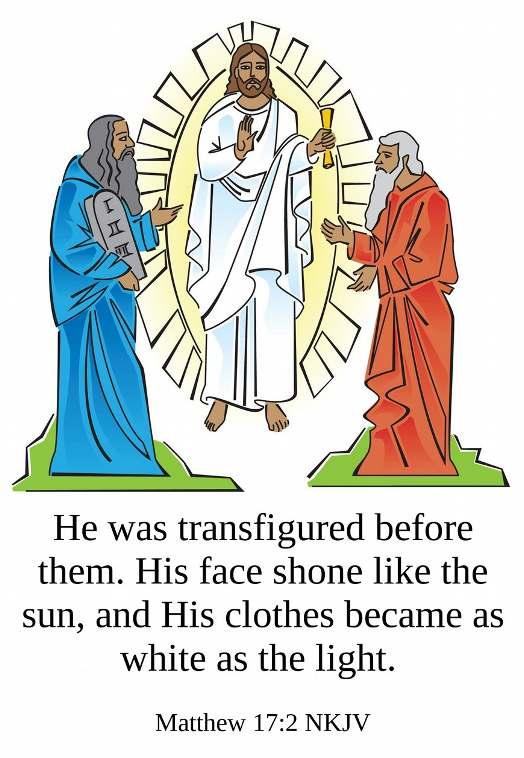February 10, 2019 The Transfiguration of Our Lord We Preach