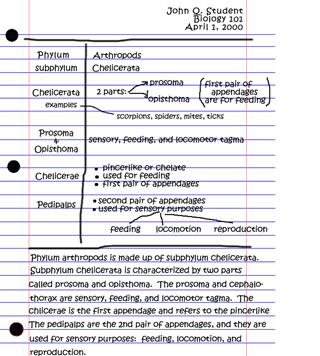 Cornell Notes Summary 1 st Read through the notes you just wrote. (2min.