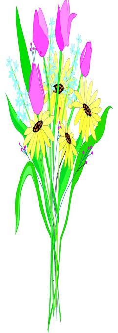 All Ladies are invited to join the Wallace Presbyterian Women SPRING CELEBRATION Program and