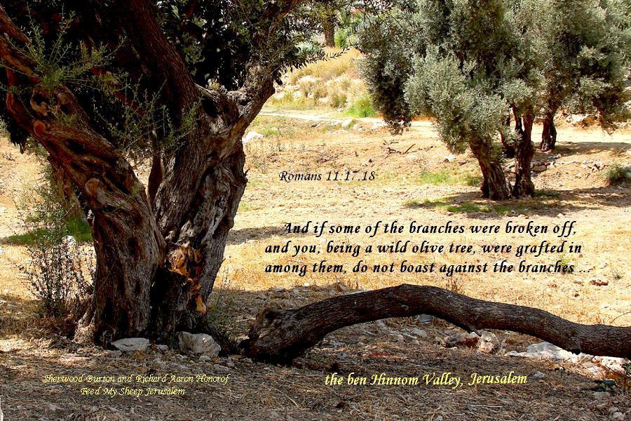 The ben Hinnom Valley in Jerusalem This is the place for crying out to God in repentance for the sins of the nation of Israel, and for the sins of all the nations of the earth until we are endued
