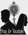 We have an amazing group of people who make this Holy Hour for vocations on the 1st Tuesday of every month. The harvest is abundant but the laborers are few.