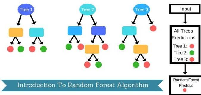 Random Forest Model Details Random forest takes a majority vote over a collection of decision trees