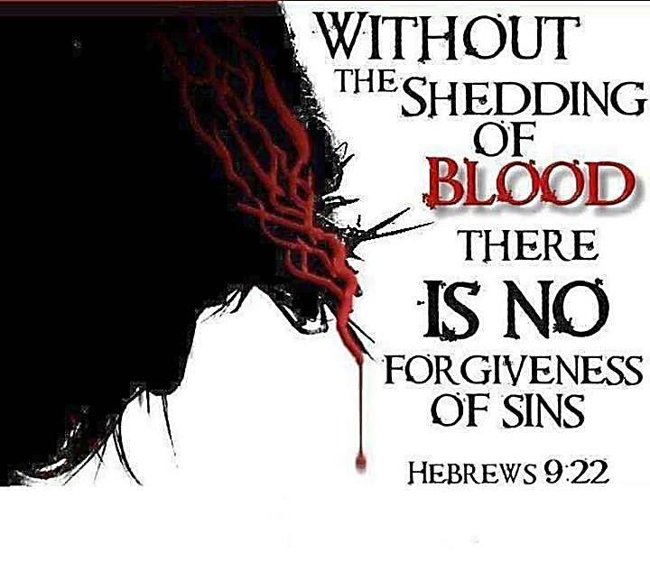 The Shedding of Blood Romans 5:9 Much more then, being now justified by his blood, we shall be saved from wrath