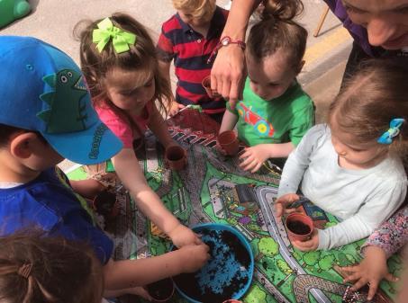 The children planted their own little seed pots today to take home for Shavuos!