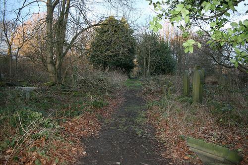 St Matthew s Churchyard, Lightcliffe HLF report & evaluation. March 2017 Setting the scene: The churchyard, of about 2 acres, was first used for burials around 1670.