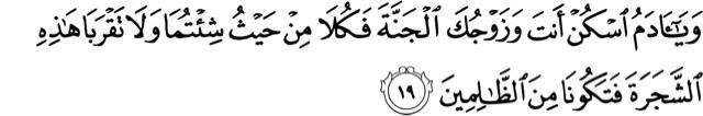 In Verses 19 and 20: "And O Adam!