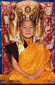 A His Holiness the 17th Karmapa His Eminence Kalu Rinpoche Venerable Lama Lodu Rinpoche KDK Arcata
