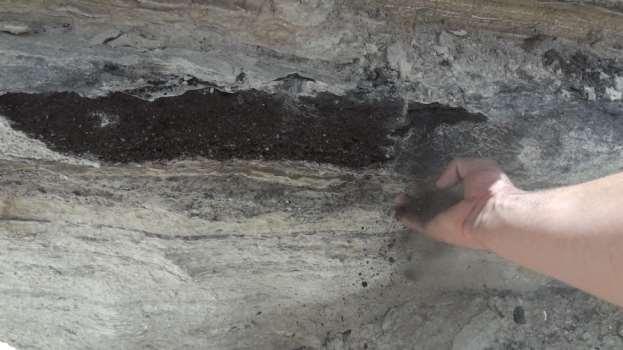 https://youtu.be/dbsis2bhi5g [10:24 PM, 5/8/2018] : Finding charcoal at Sodom. [10:48 PM, 5/8/2018] : This is an interesting crack in the ash.