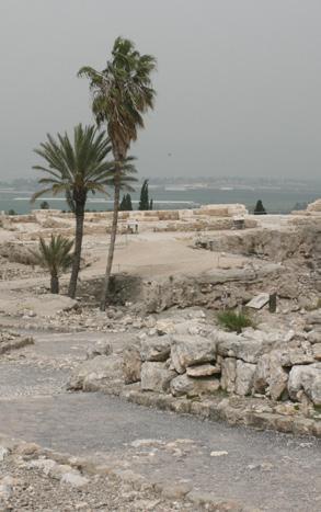 Saturday, March 16 Coastal Route We ll drive along the Mediterranean Coast to the 5,000 year old port city of Jaffa, where Jonah sought to escape God s call and Peter had his rooftop vision.