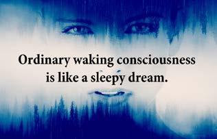 Our Co-Creative Power Introducing Our Co-Creative Power The best way to make your dreams come true is to wake up. Kabir Imagine you are asleep and in your dream you are encountering numerous problems.