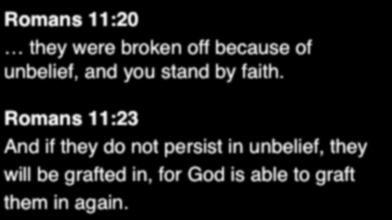 Romans 11:20 they were broken off because of unbelief, and you stand by faith.