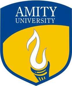 First Circular 3 rd NATIONAL CONFERENCE ON NANOMATERIALS AND NANOTECHNOLOGY DECEMBER 21 23, 2010 ORGANIZED BY AMITY SCHOOL OF ENGINEERING & TECHNOLOGY AMITY UNIVERSITY UTTAR PARDESH LUCKNOW