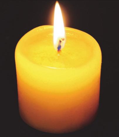 Monte Steiger 28 th Pete Ruppel 10 th THE ALTAR GUILD Our thanks to those who have donated sanctuary candles: