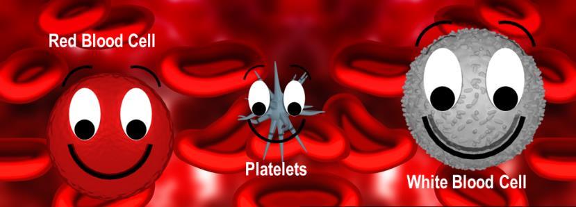 There are three major cellular elements in the blood, Platelets that help the blood to clot if you get cut Red blood cells that deliver oxygen to the cells White blood cells that protect from disease