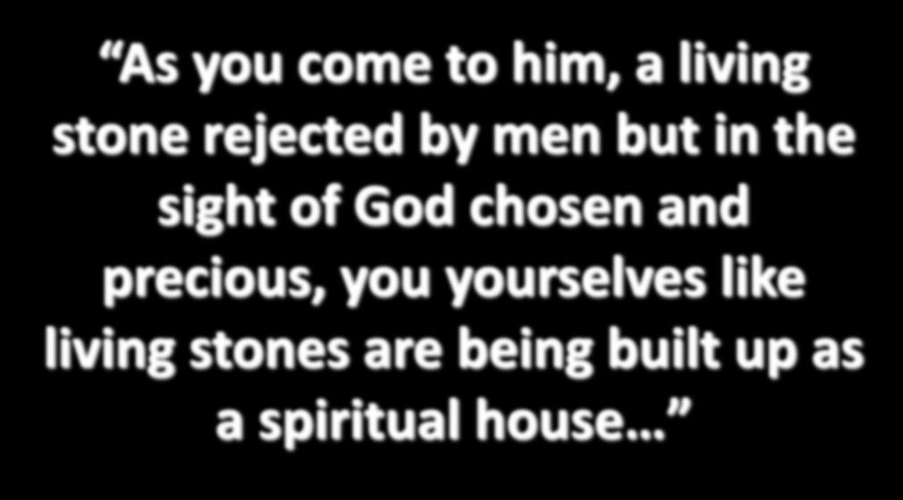 As you come to him, a living stone rejected by men but in the sight of God chosen