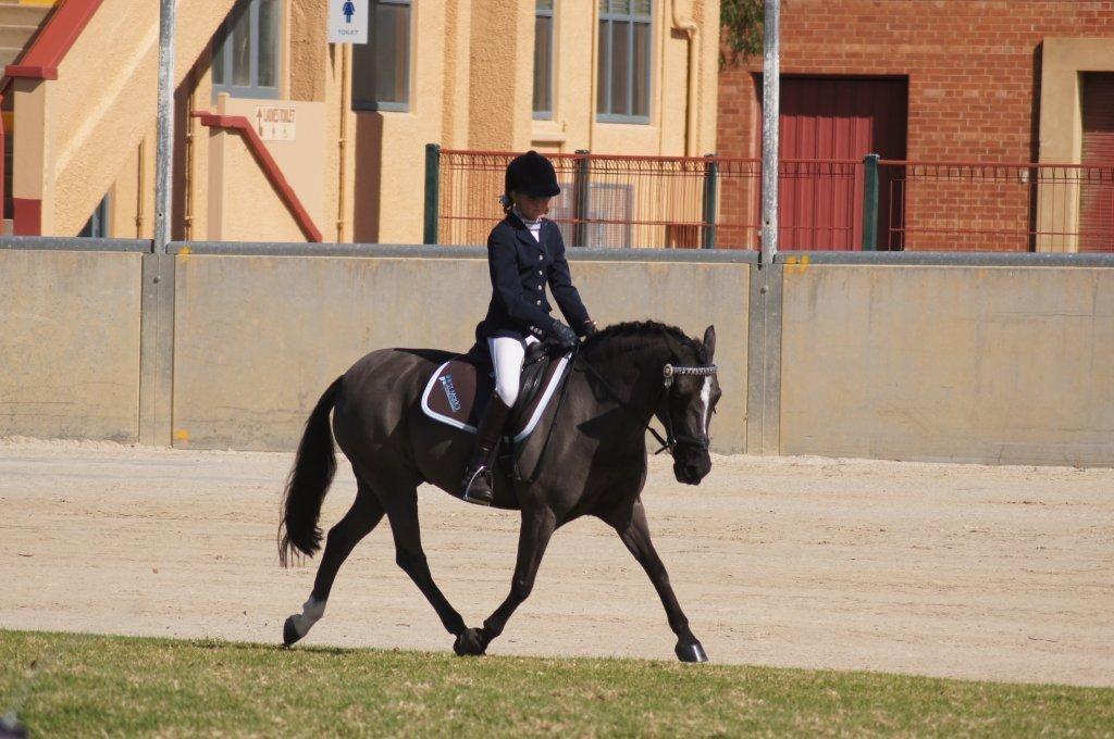 Chelsea Clarke competed at the 2017 Mitavite Interschool Equestrian State Championships South Australia on the weekend and was so