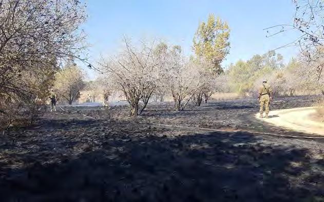 Other events Aftermath of a fire in the Be'eri Forest, caused by an incendiary balloon launched from the Gaza Strip (Palinfo Twitter account, August 17, 2018).