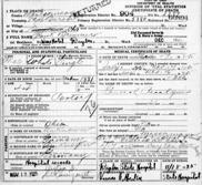 John BRUNN was living with his parents in both the 1850 and 1860 Census. The 1923 obituary of his brother, Francis BRUNN, states that John BRUNN is living in Ft. Wayne Indiana.
