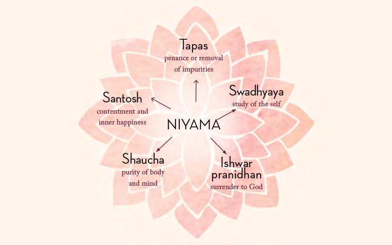 Niyamas Purity (Sauca) Practicing postures (asana) and breathing (pranayama) to cleanse the body, clears the mind Avoiding illness through cleanliness (physical, mental & emotional self as well as