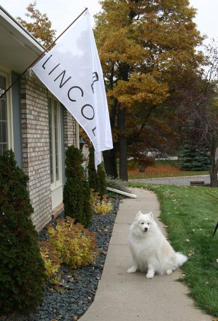 Faithie is admiring her dad s Lincoln flag, which