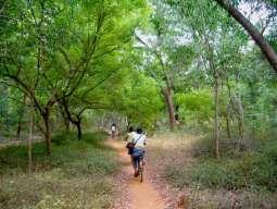 This is only a first step and much needs to be done to realize the vision of a bicycle friendly Auroville.