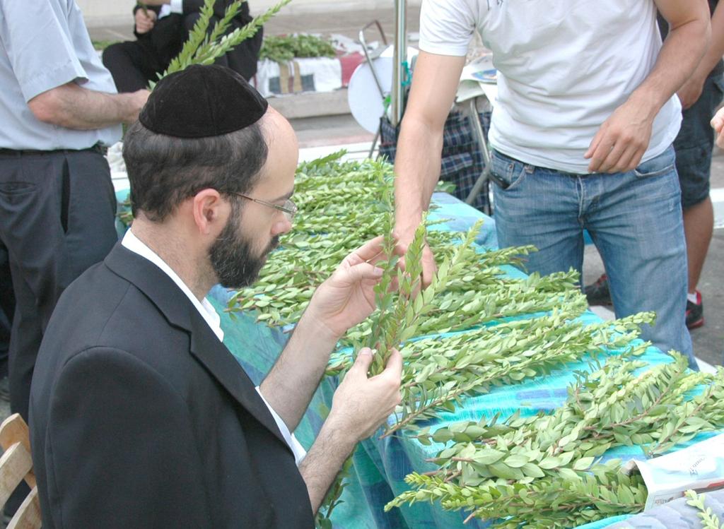 There are many ways to build a sukkah ranging from work-intensive methods to easy-to-build kits that can be purchased in a store. Either way, there are some basic guidelines.