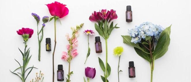 Saturday 24th March Spring Yoga Detox Workshop with Essential Love 11.00am - 1.00pm 27 per person Focus is on detox with yoga, nutrition and doterra essential oils.