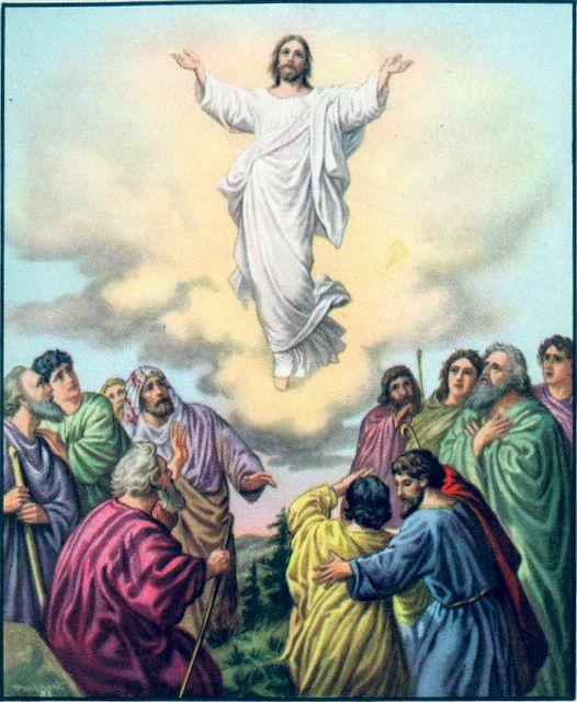JESUS ASCENSION INTO HEAVEN ACTS 1 After Jesus resurrection, he appeared to many people. He taught his Apostles more about how to set up and lead his church.