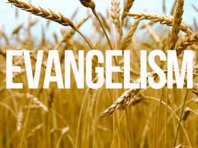 FEBRUARY 2017 The Foothills Flyer Evangelism Forward at Foothills: 5W5 by Rod Pauls, Elder Value: Holistic Discipleship Our Vision for 2017 at Foothills begins with this statement: Understand like