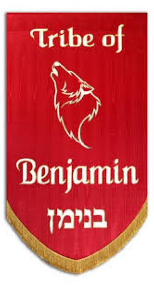 Benjamin The tribe of Benjamin, represented by Prince Avidan, was designed by a green banner, emblazoned with a wolf, because it was over a warlike and cruel tribe.