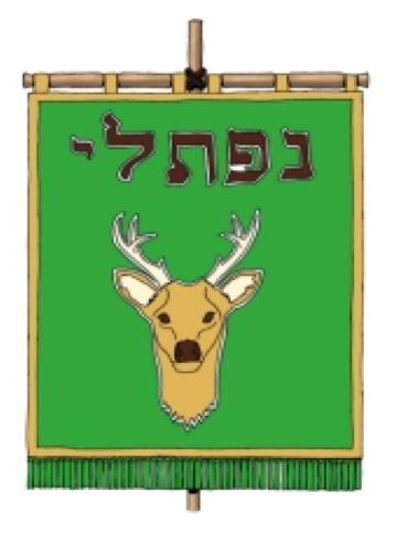 Napthali The banner of Naphtali was borne by Prince Ahira and was designed by a hind. Its colour was blue. Naphtali is a hind let loose: he given goodly words.