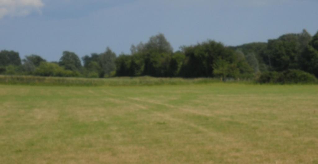 The field was recently mown pasture (June 26th 2013). The tall copse to the West of the field obscures any distant features.