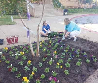 About 65 Christ the King families are signed up for the Parish Gardening Ministry, which gathers in the spring and in the fall of each year.