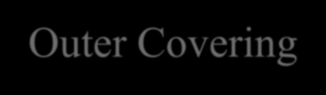 The Four Coverings
