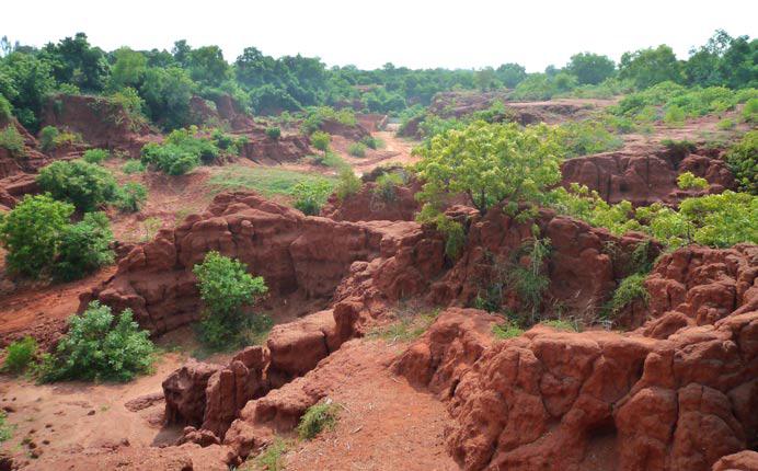 DISCOVER THE CANYONS RISING SUN There are numerous canyons in and around Auroville. Most of them have been dammed to avoid rainwater off-flow and to harvest the precious rain during the monsoon.